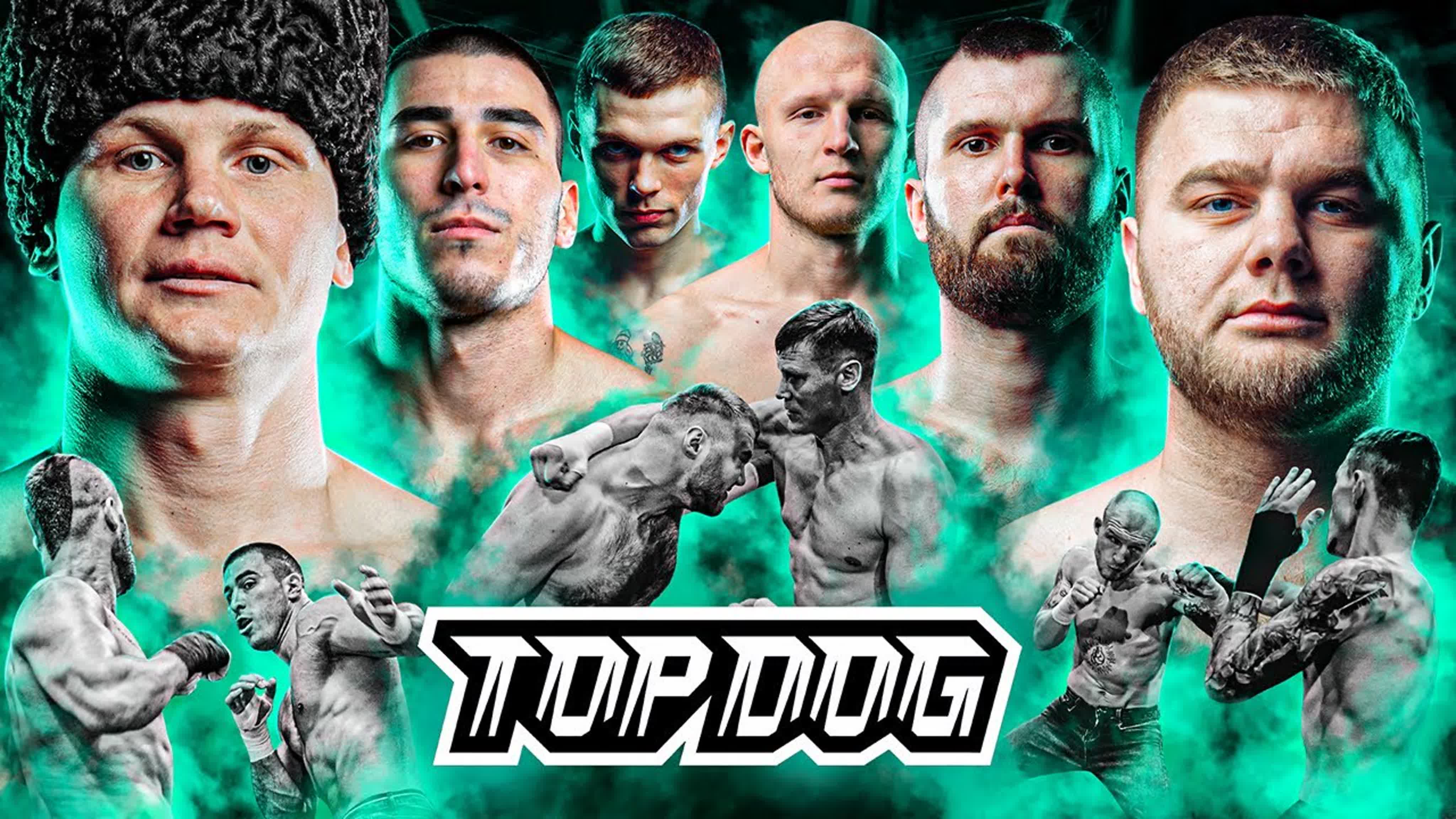 TOP DOG FC 8