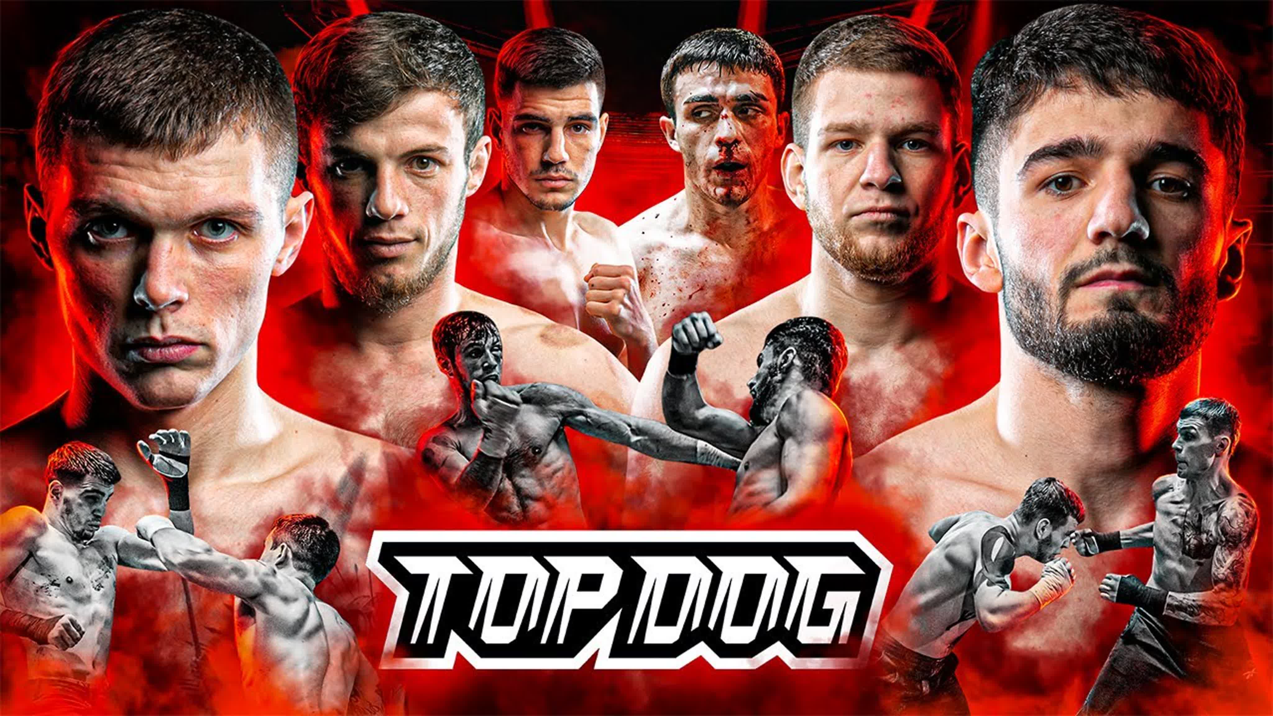 TOP DOG FC 7