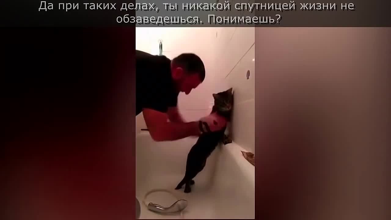 Зверушки