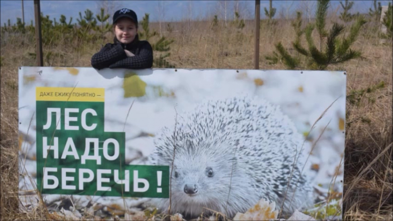 ТВ-конкурс "Свой взгляд". 2017 год