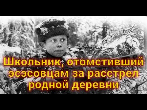 Военные истории.