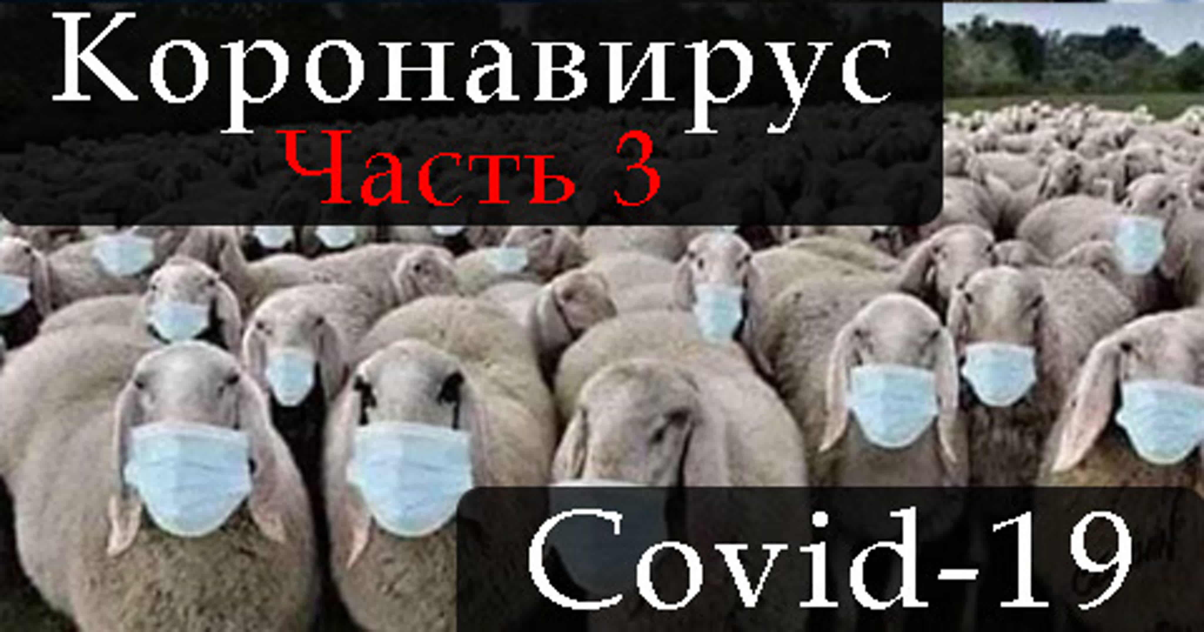 COVID-19 - серия документальных фильмов