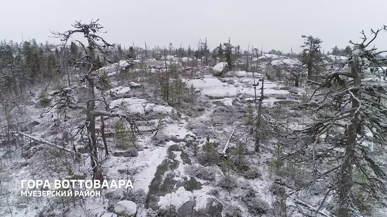 Ролики. Достояние республики