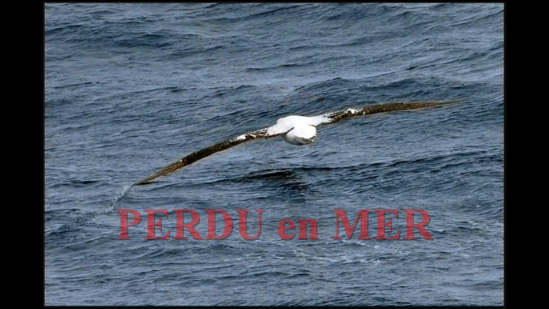 Il Vendée Globe е Il mondo IMOCA.