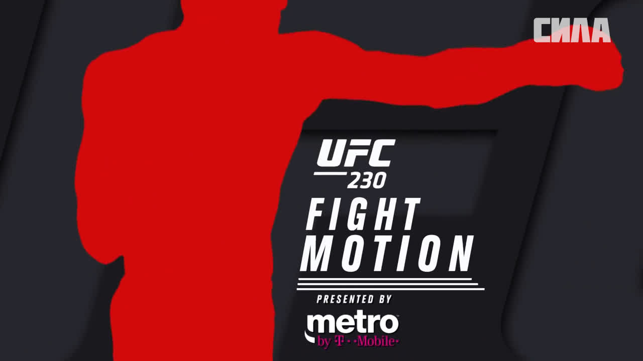 UFC 230