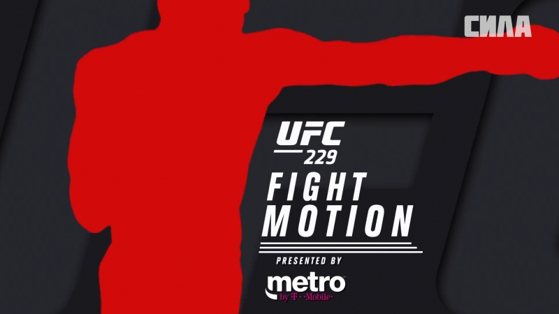 UFC 229