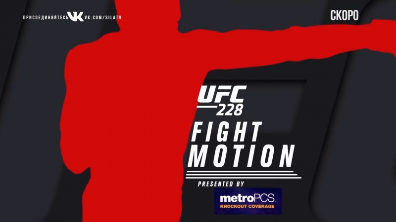 UFC 228