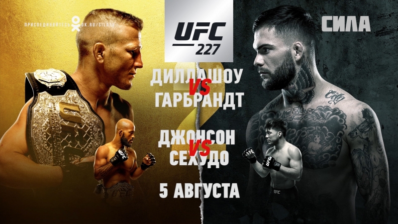 UFC 227