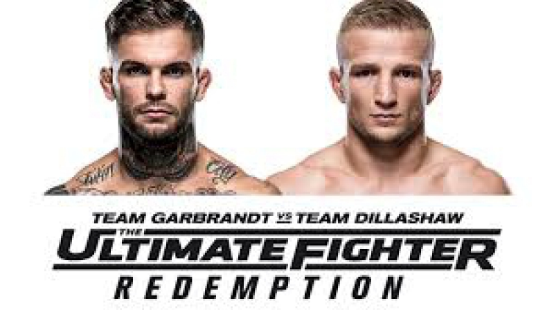 The Ultimate Fighter - Season 25