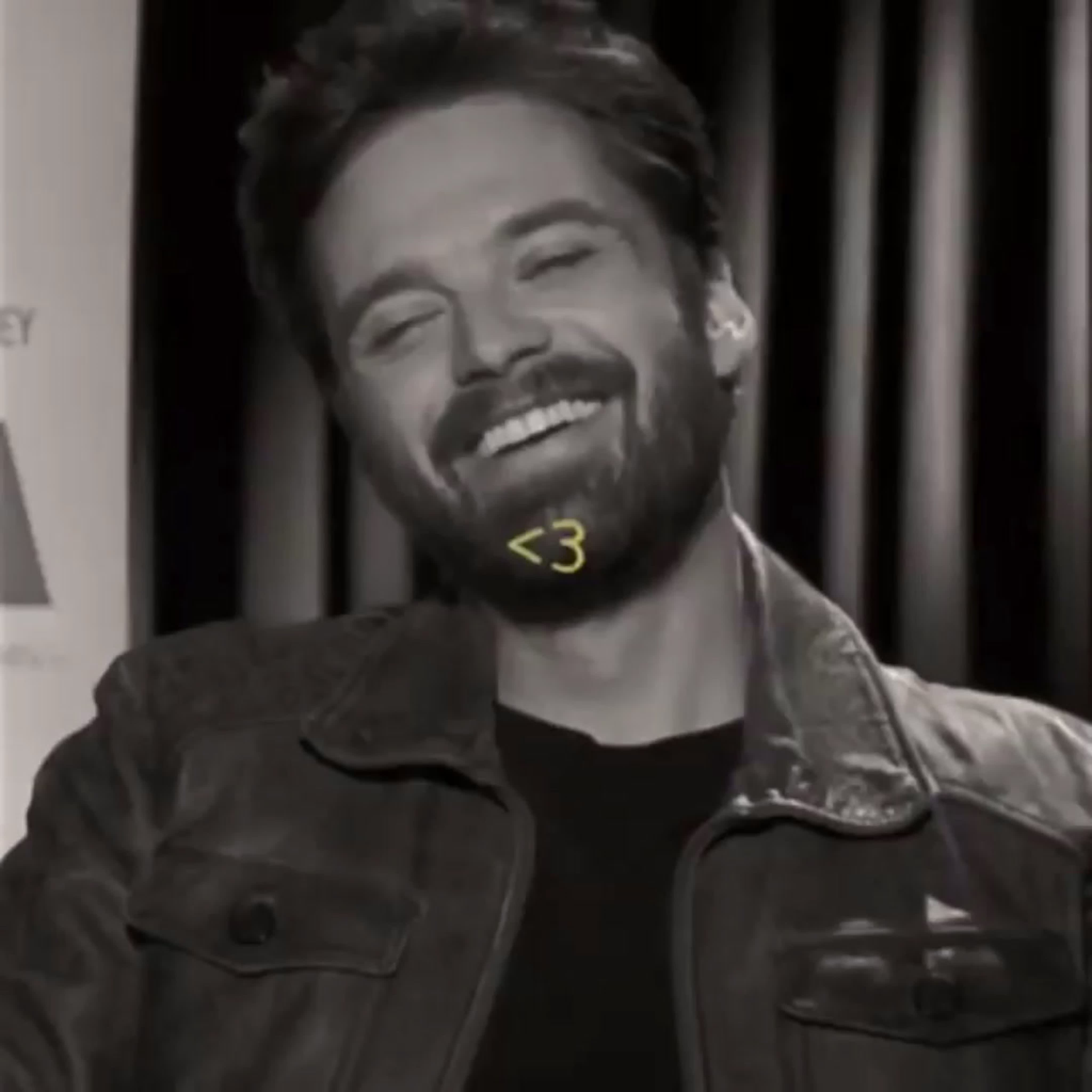 sebastian stan