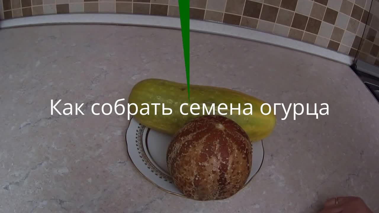 Сад и огород своими руками