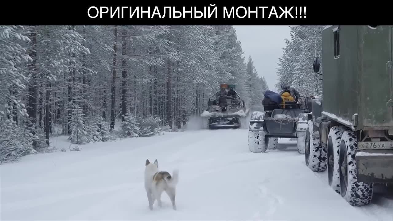 СТАС