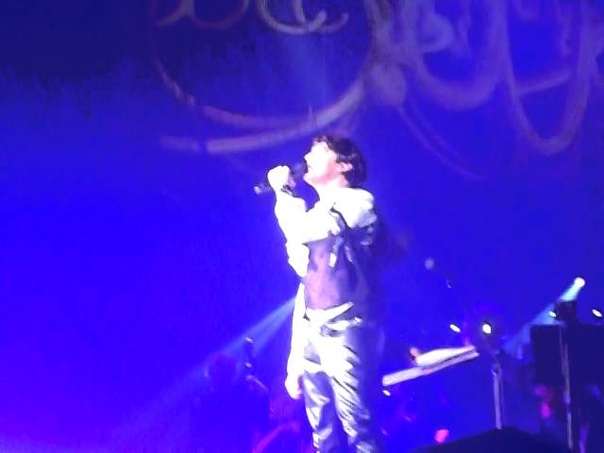 Mozart L'Opera Rock Le Concert 29/10/14 Amneville