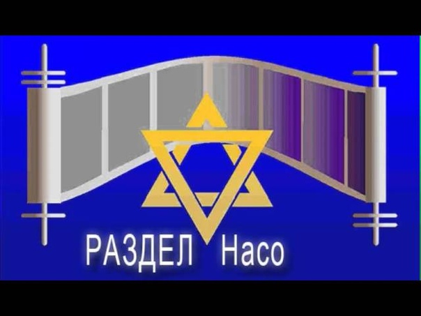 35 «НАСО» (ОПРЕДЕЛИ ЧИСЛО) — БЕМИДБАР (ЧИСЛА) 4:21-7:89