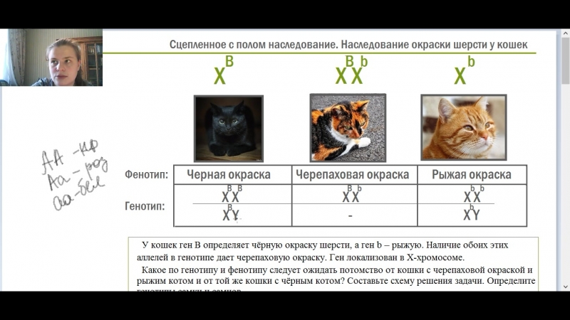 подготовка к ЕГЭ