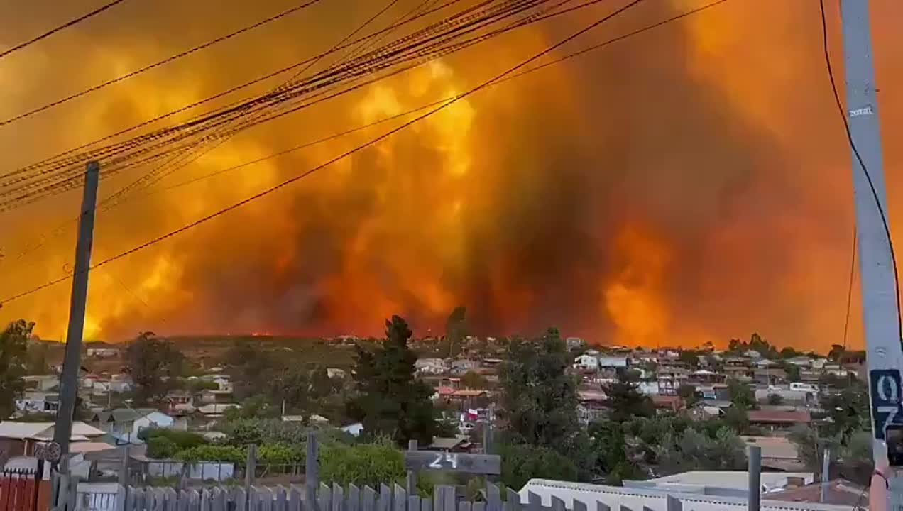 Лесные пожары 🔥