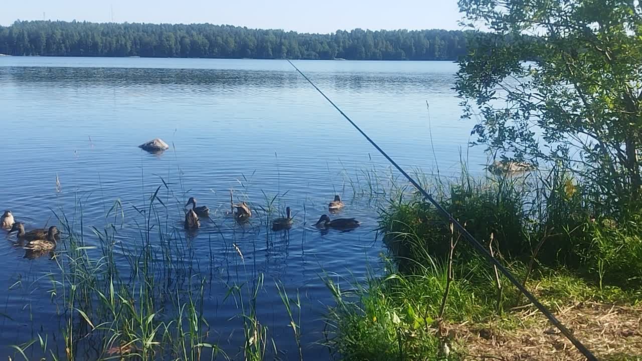 ЧАСТНОЕ ВИДЕО