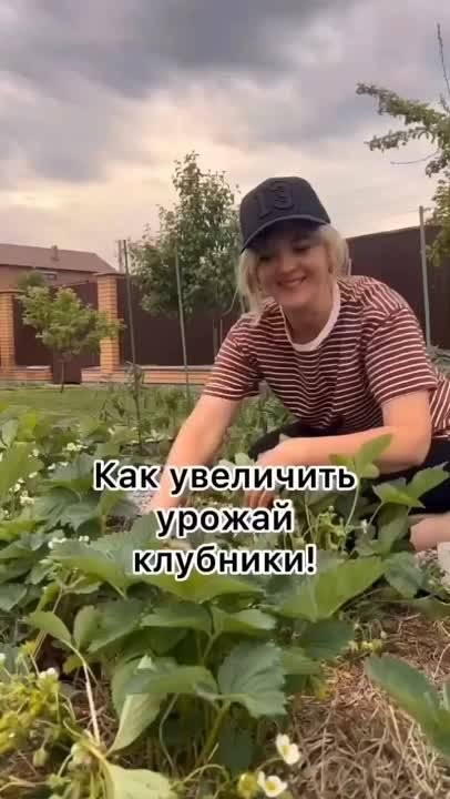 Советики