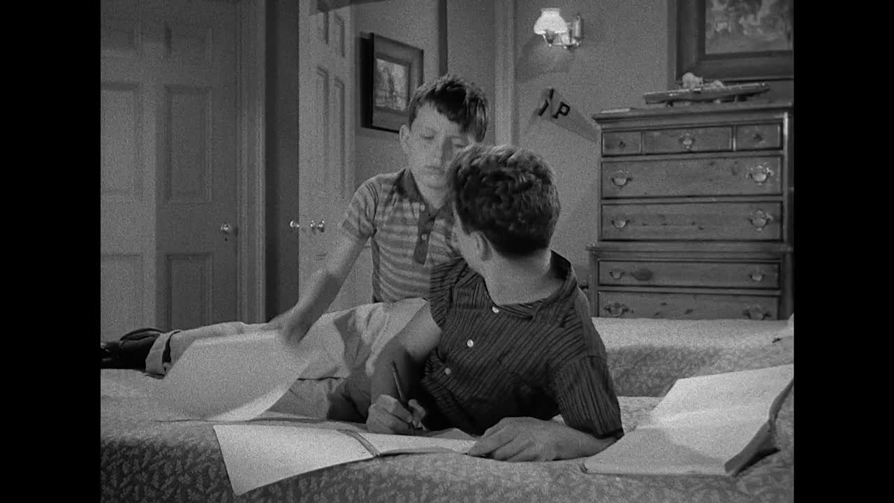 Leave It To Beaver |1080p| S02 (1958-1959)