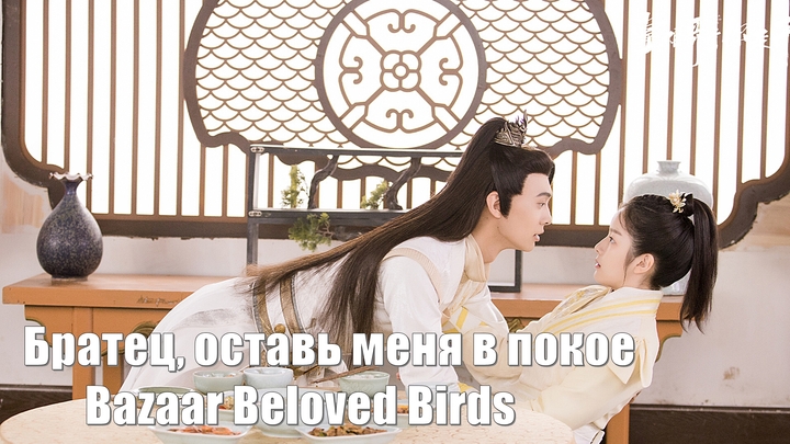 Братец, оставь меня в покое, Bazaar Beloved Birds (Zhang Gui Ge Ge Ni Zou Kai 掌柜哥哥你走开)