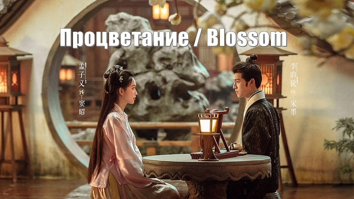 Процветание, Blossom (Jiu Chong Zi 九重紫) Расцветать