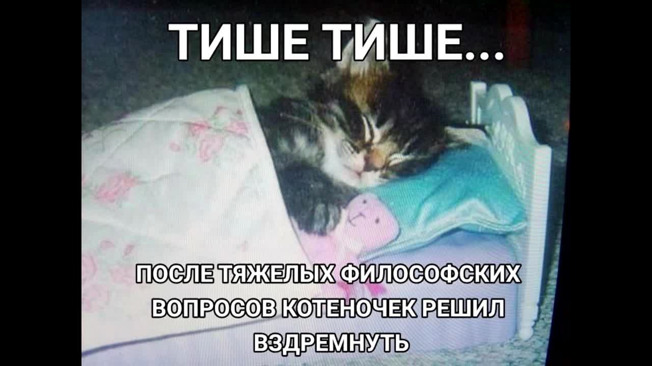 Мои тупые, но любимые кринжовые озвучки