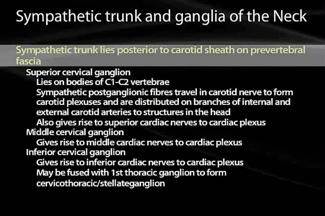 USMLE Step1 Фалькони ревью