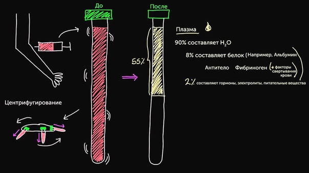 Гематология