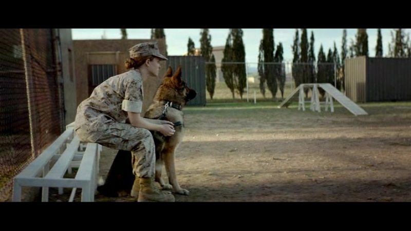 Меган Ливи / Megan Leavey (2017)