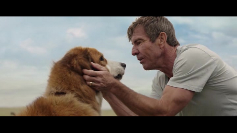 Собачья жизнь / A Dog's Purpose (2017)