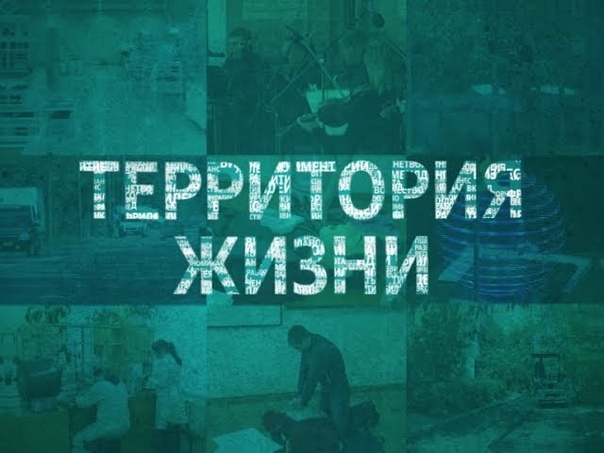 Программа «Территория жизни»