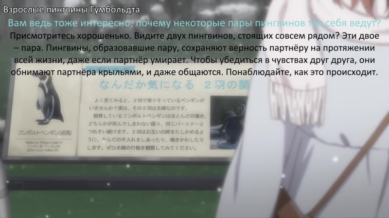 Жизнь - любовное кино, но какое-то не то… [ТВ-2] / OreGairu [TV-2]