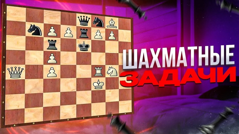 Школа Шахмат Chesswave