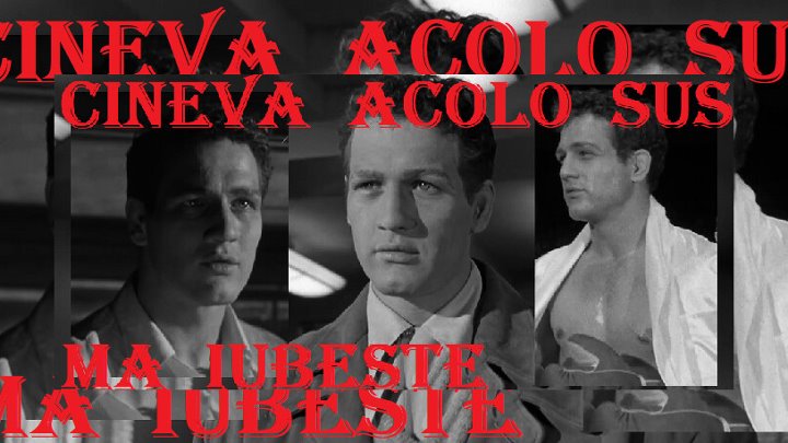 PAUL  NEWMAN