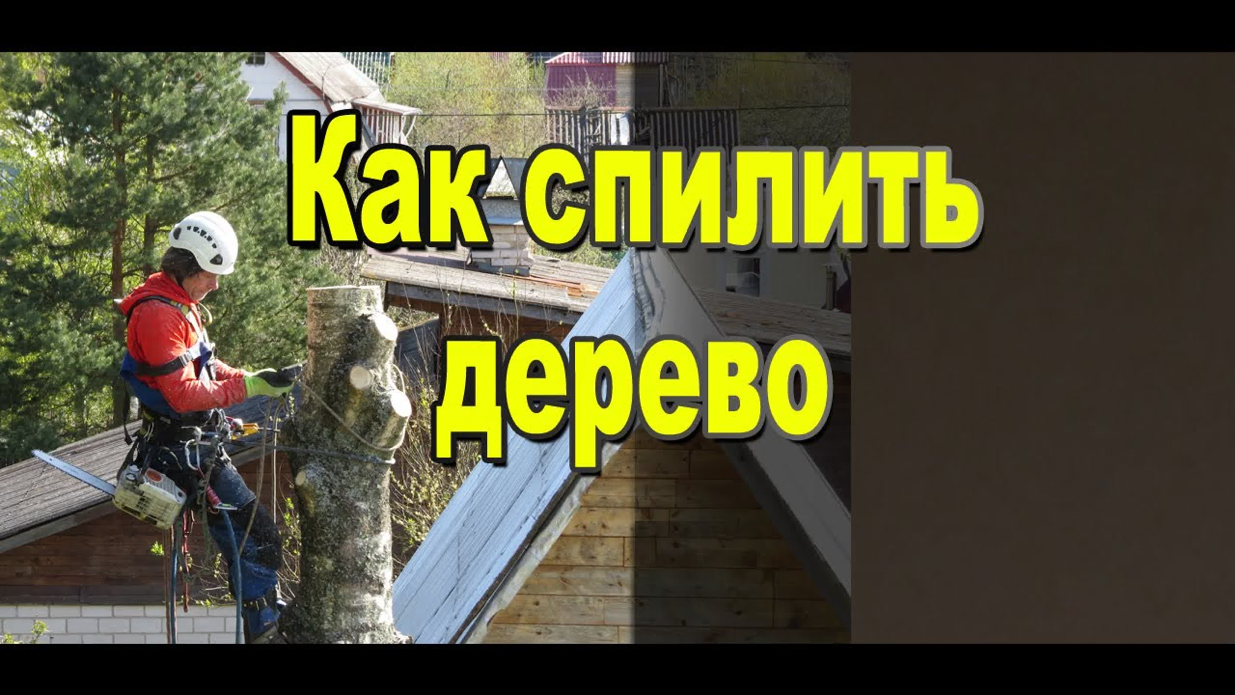 Как спилить дерево