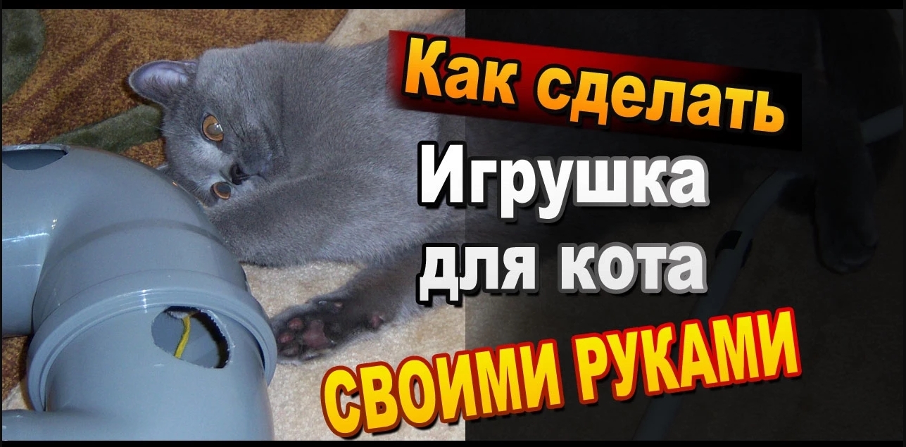 Игрушки для кошек