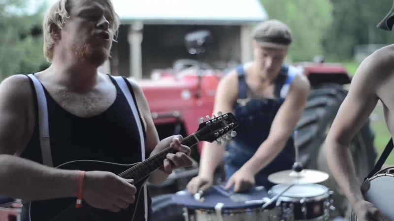 Steve'n'Seagulls