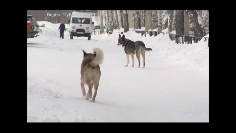 НОВОСТИ от 07.02.18