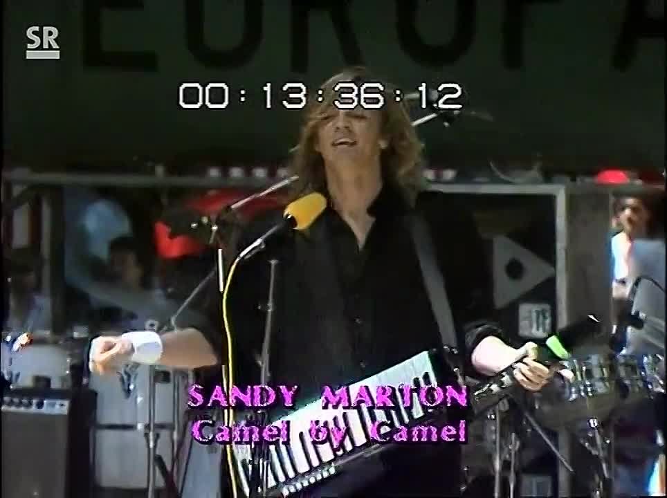 Sandy Marton