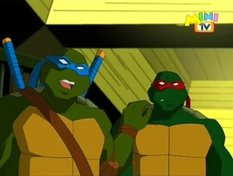 Teenage Mutant Ninja Turtles (2003)