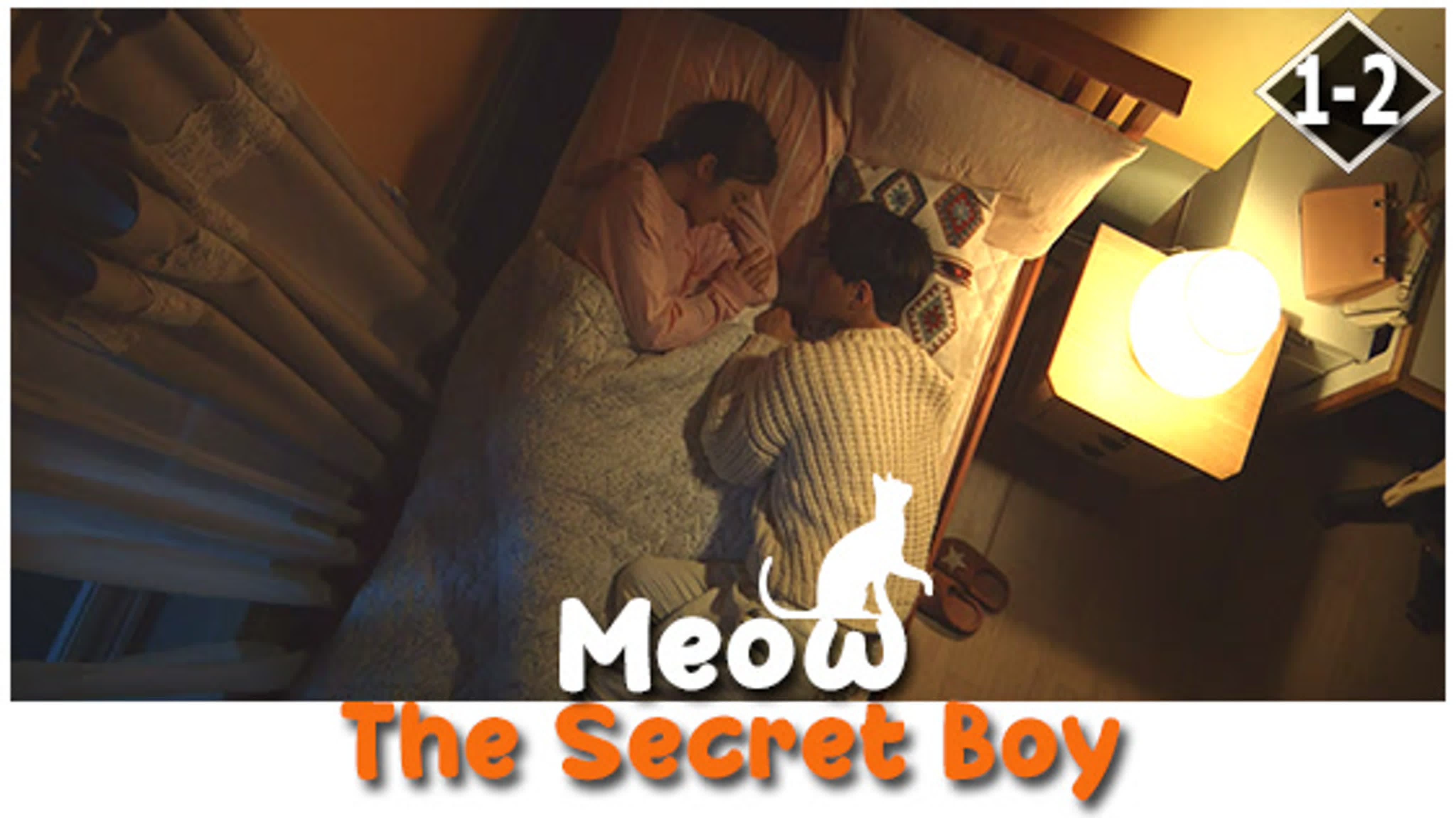 Meow, the Secret Boy