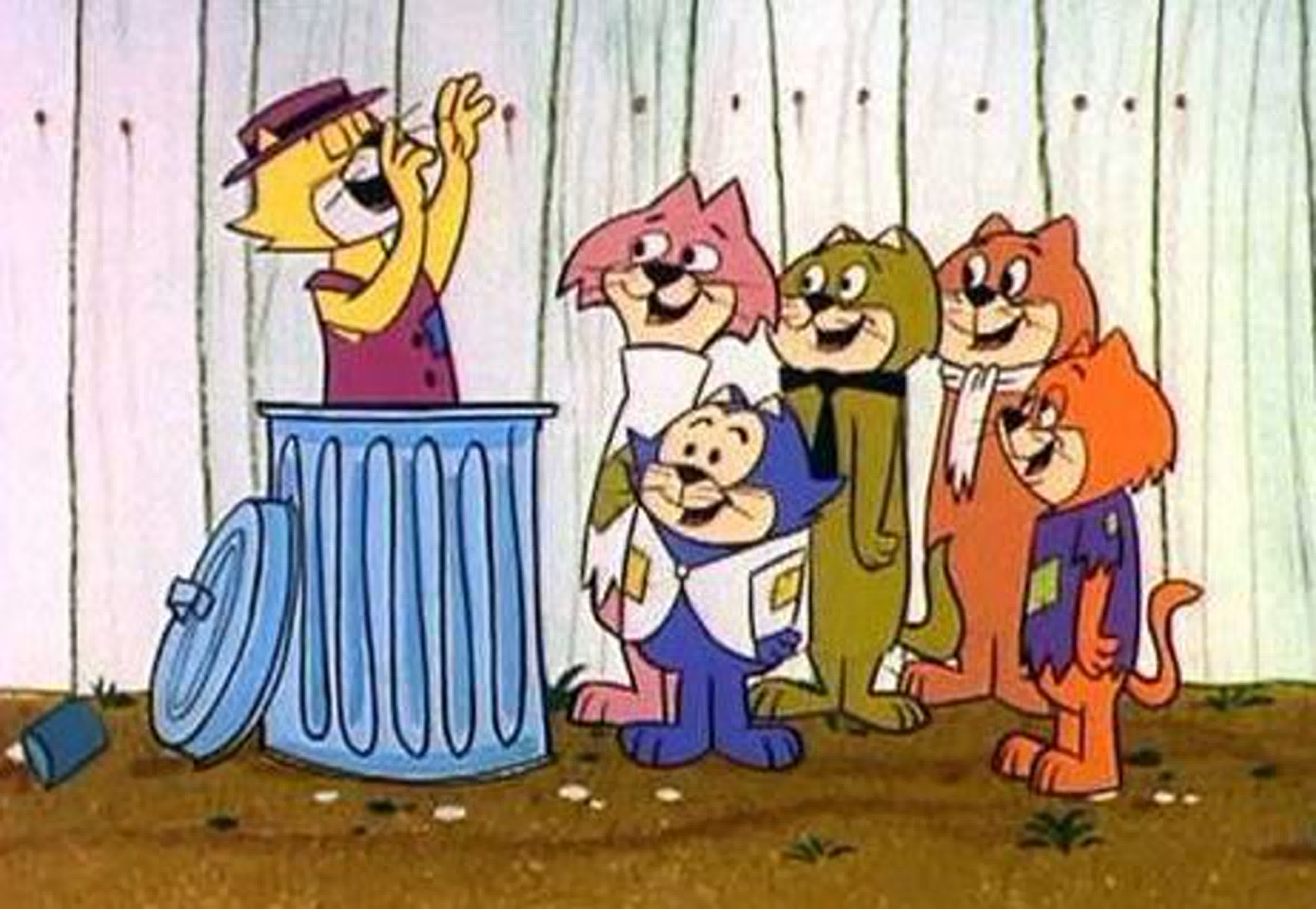 Don Gato Y Su Pandilla