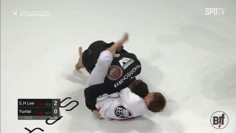 SPIDER BJJ 2018