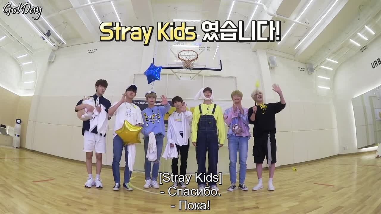 Stray Kids - CHOISKZ