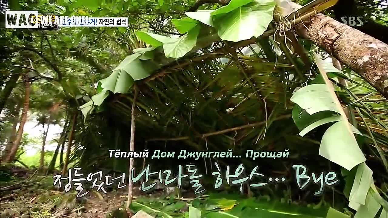 ТВ-шоу «Law of The Jungle In Micronesia»