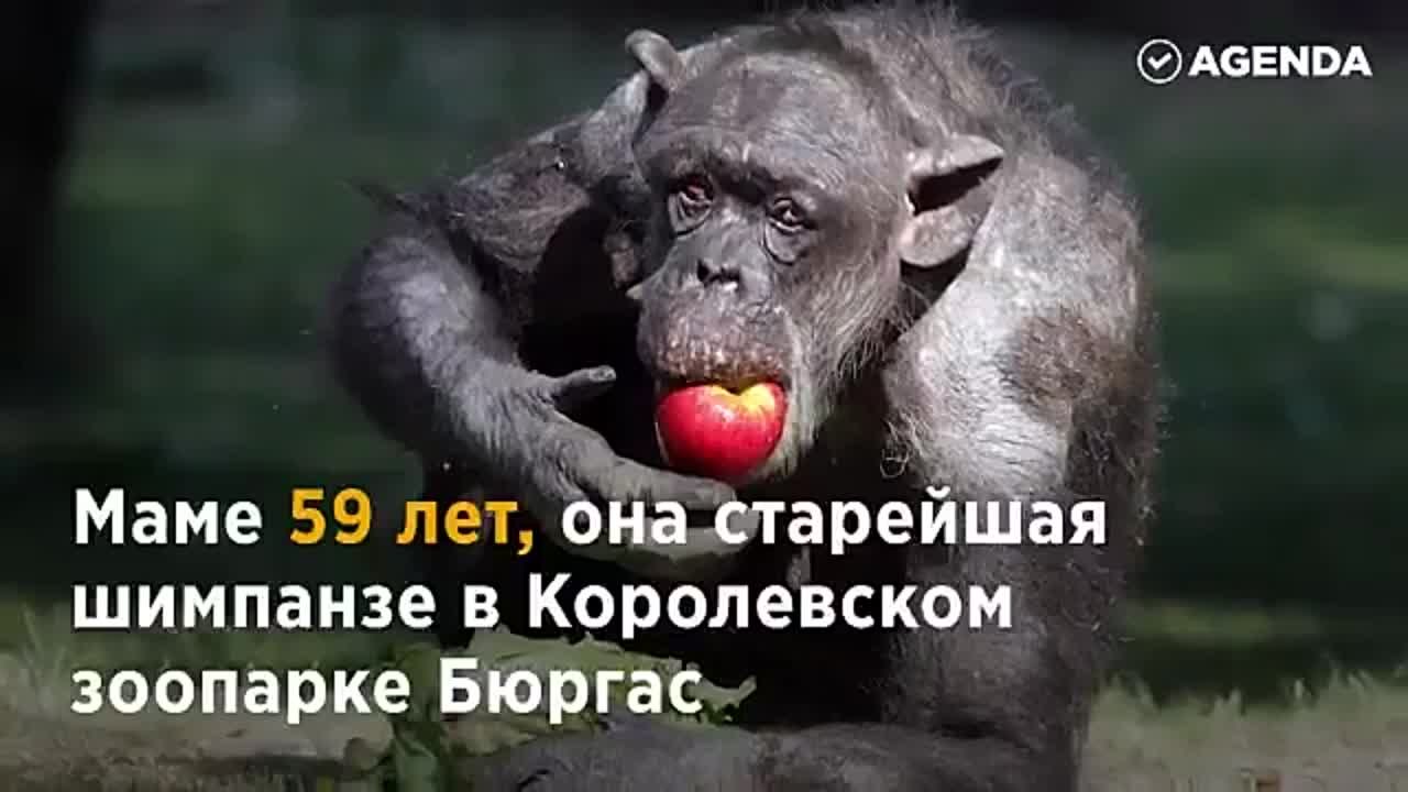 Путешествия, отдых, природа.