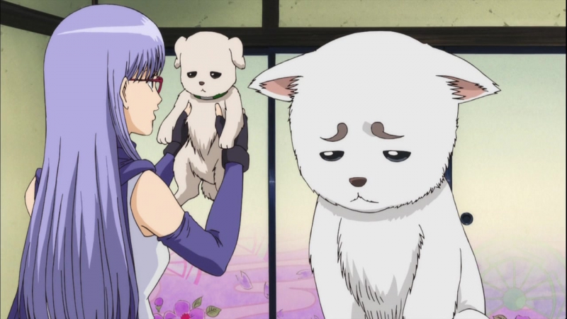 Gintama': Enchousen (TV-3)