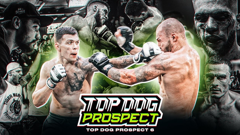 Top Dog Fighting Championship