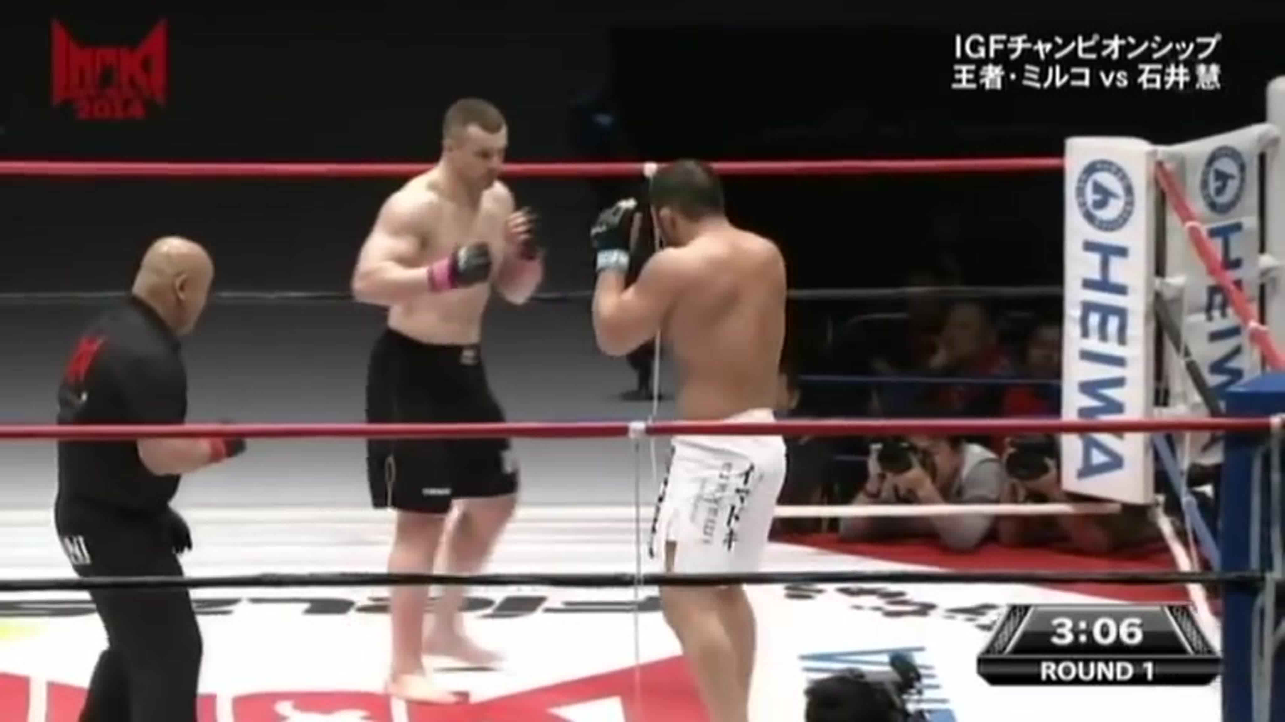 Mirko Cro Cop