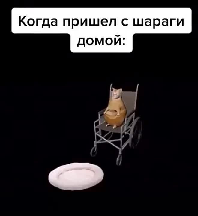 Видео мемчики